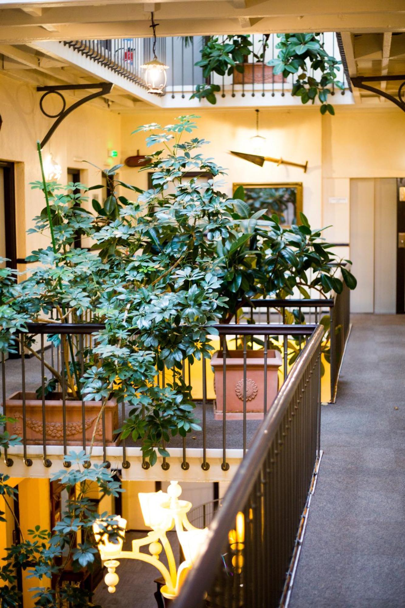 Hotel Grand D'orléans Toulouse
